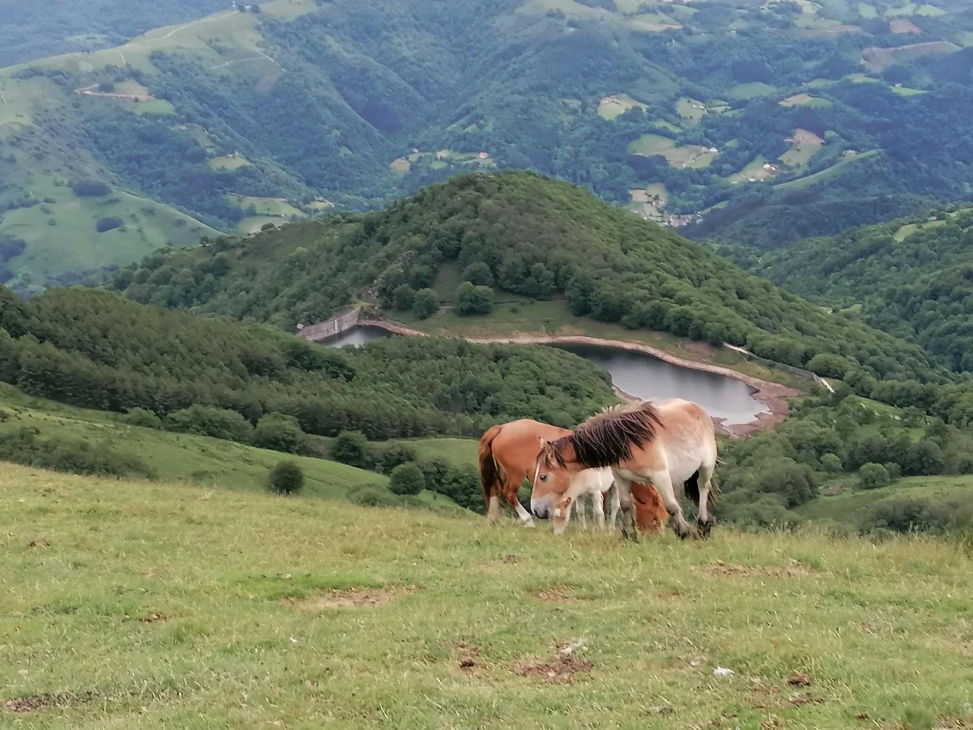 Casa Rural Soroa Landetxea Villa Arantza Esterno foto